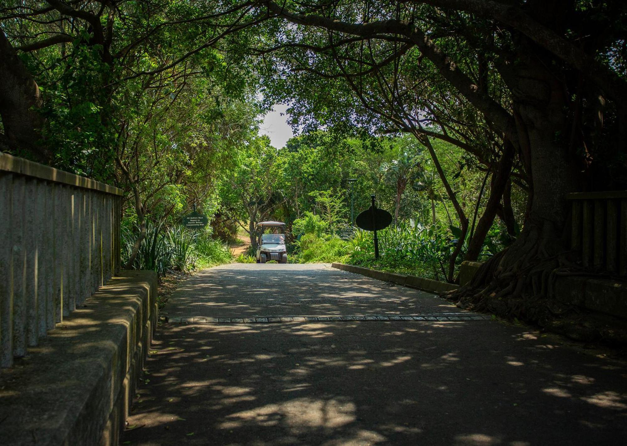 Zimbali Lodge By Dream Resorts uMhlali 外观 照片